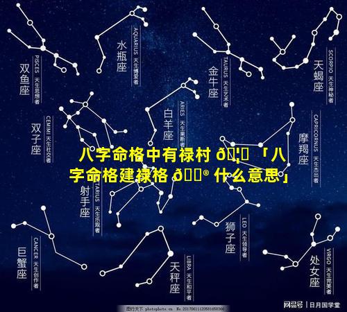 八字命格中有禄村 🦁 「八字命格建禄格 💮 什么意思」